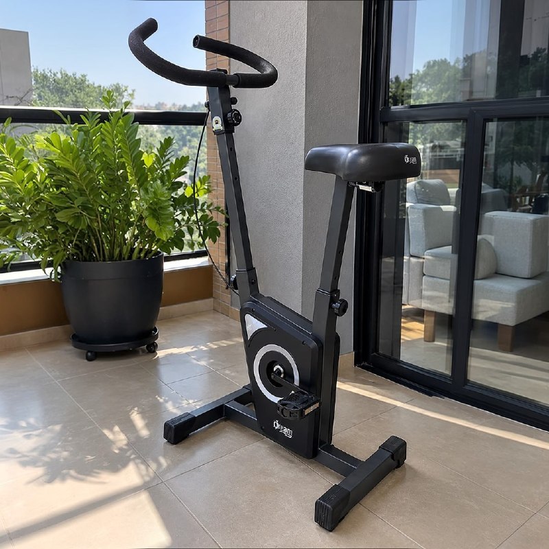 Dream Fitness EX 450 - Bicicleta Ergométrica Vertical, Chumbo, Único